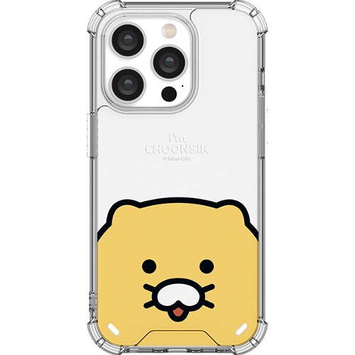 ũ�Ժ���